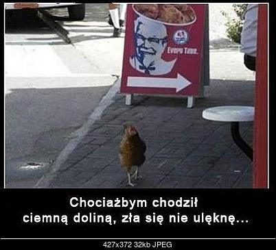 Funny fotos...-kfc.jpg