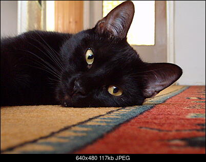 Nowy bios 812S@832S ... jednak :)-hpim0622.jpg