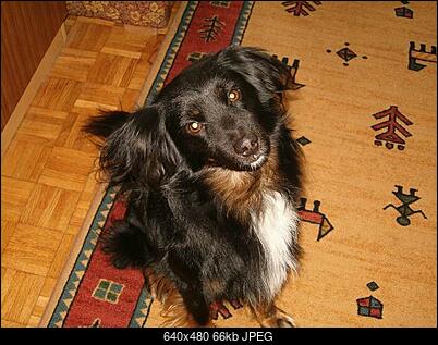 Nowy bios 812S@832S ... jednak :)-zmiana-rozmiaruhpim0232.jpg