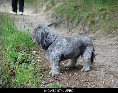 Nowy bios 812S@832S ... jednak :)-czarek.jpg