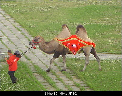 Nowy bios 812S@832S ... jednak :)-dsc01960.jpg