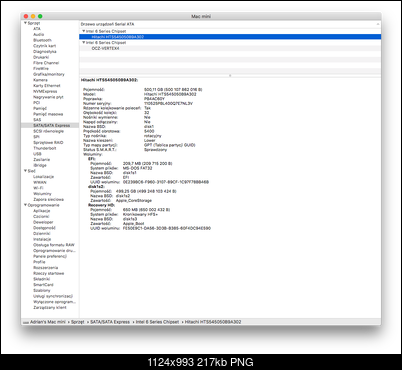 Mac mini Mid 2011 (A1347) i5 2,5GHz + 16GB + SSD 128 GB + 500 GB HDD-raport_hdd.png