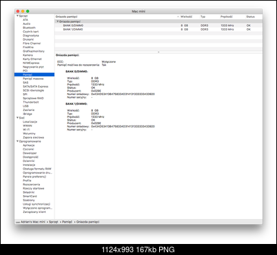 Mac mini Mid 2011 (A1347) i5 2,5GHz + 16GB + SSD 128 GB + 500 GB HDD-raport_ram.png