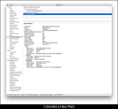 Mac mini Mid 2011 (A1347) i5 2,5GHz + 16GB + SSD 128 GB + 500 GB HDD-raport_ssd.png