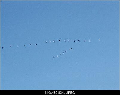 -pict0201.jpg