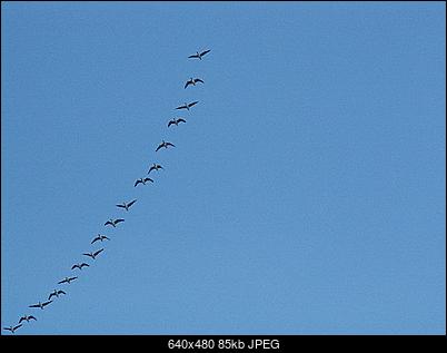 -pict0206.jpg