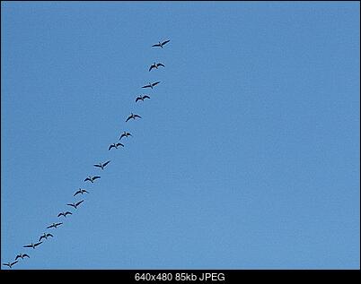 -pict0206.jpg