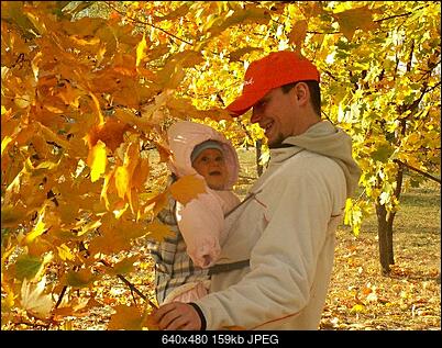 -pict0320.jpg