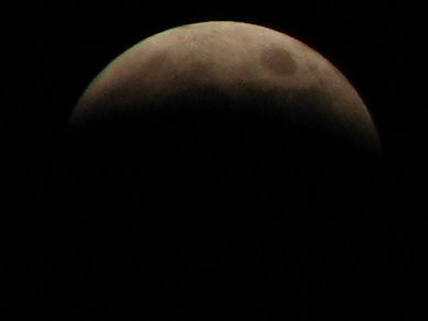 -img_4521.jpg