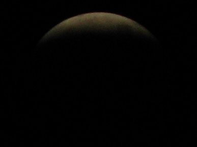 -img_4529.jpg