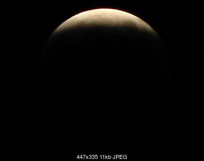 -img_4537.jpg