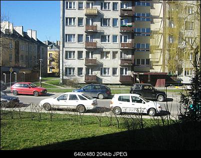 Oznaki wiosny-img_0191.jpg