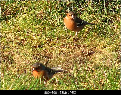 -img_8325.jpg