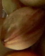 Fotozagadki...-100_4454.jpg