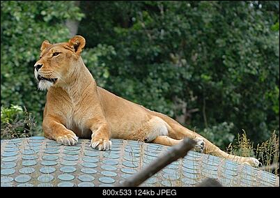 -dsc_0125cr.jpg