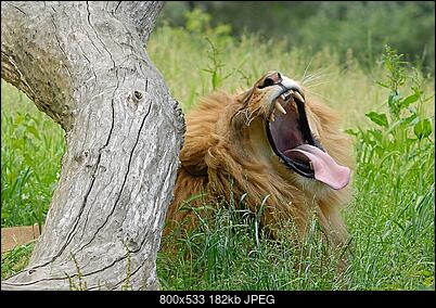 -dsc_0144cr.jpg