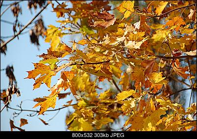 -dsc_6680.jpg