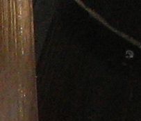 Fotozagadki...-img_2192.jpg