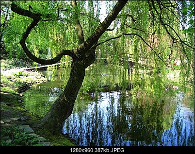 -img_6702.jpg