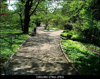 -img_6808.jpg
