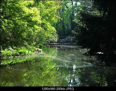 -img_6818.jpg