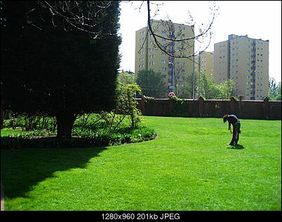 -img_6681.jpg