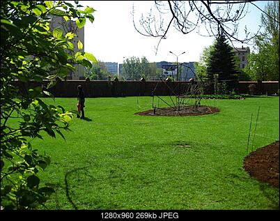 -img_6679.jpg