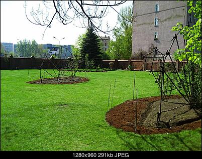 -img_6678.jpg