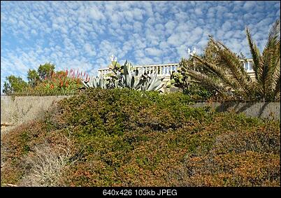 -p1020400_1.jpg