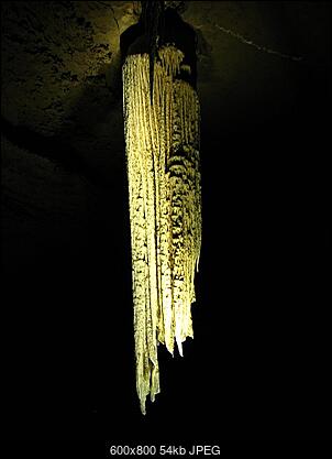 -img_8967.jpg