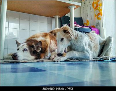Psy-20160109_090654-02.jpeg