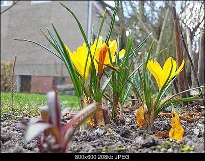 Oznaki wiosny-20160326_125259.jpg