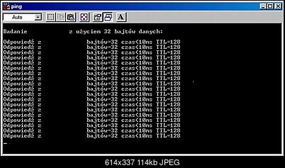 -ping.jpg