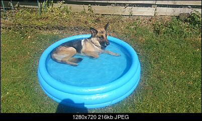 -20180629_111117.jpg