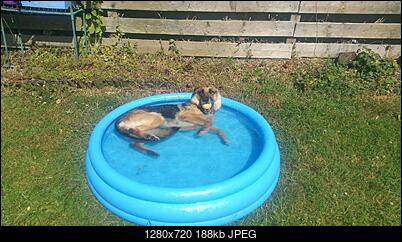 -20180629_111157.jpg