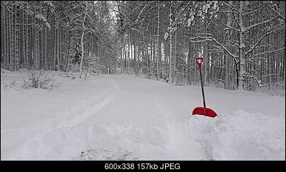 -20190116_101204.jpg