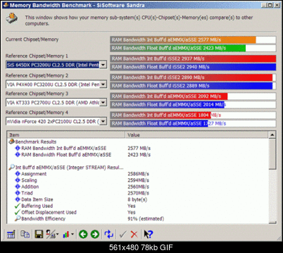 nFORCE-test2-ram.gif