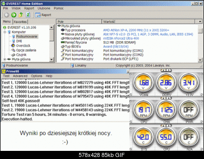 -wyniki.gif