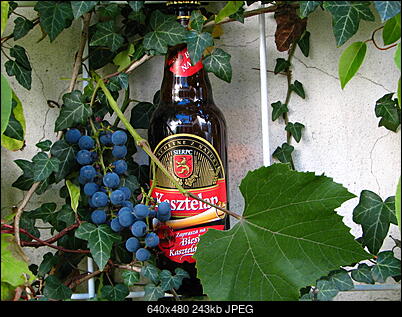 IMPREZKA ON-LINE (tylko powyzej 18 lat)-img_1145.jpg