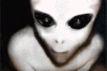 Co mam wpisac ?-alien18.gif