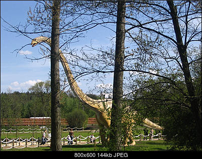 -kopiuj-img_2024.jpg