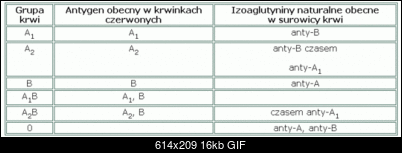 -schowek01.gif