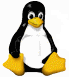 NTFS a 2 systemy-tux2.gif