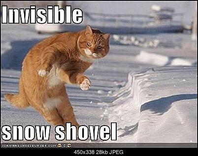 IMPREZKA ON-LINE (tylko powyzej 18 lat)-funny-pictures-cat-invisible-snow-shovel.jpg