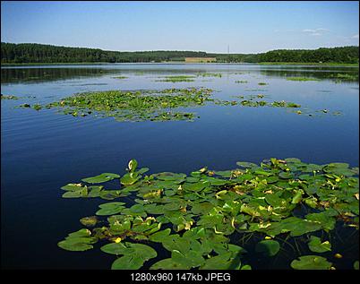 Splyw pontonowy w lelowie-img_4324.jpg