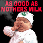Marihuana i jej legalizacja-nurple-mothersmilk.gif