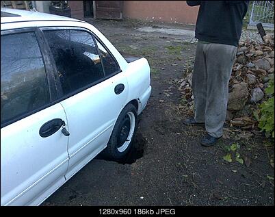 -20101021965.jpg