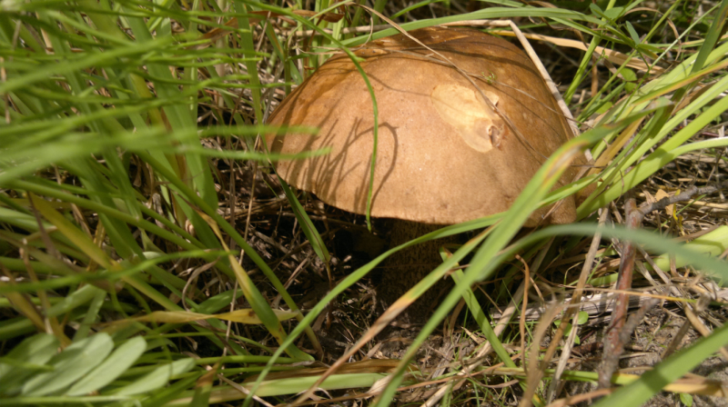 -2012-06-10-18-19-31.png