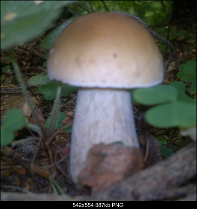 -2012-07-27-20-11-00.png