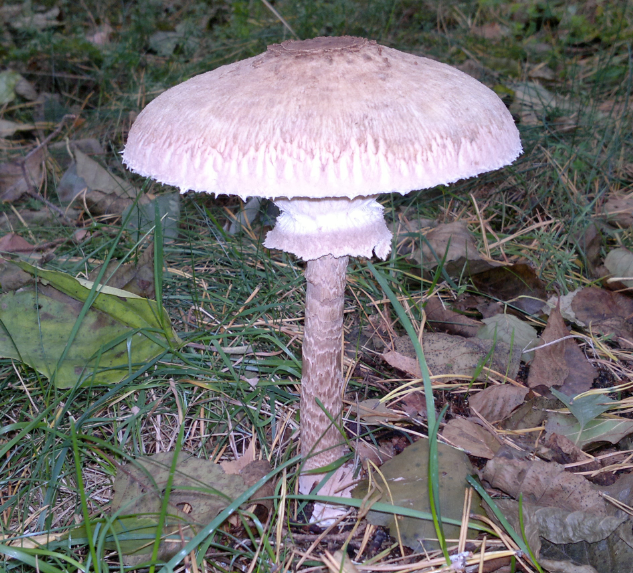 -2012-10-09-09-25-45.png